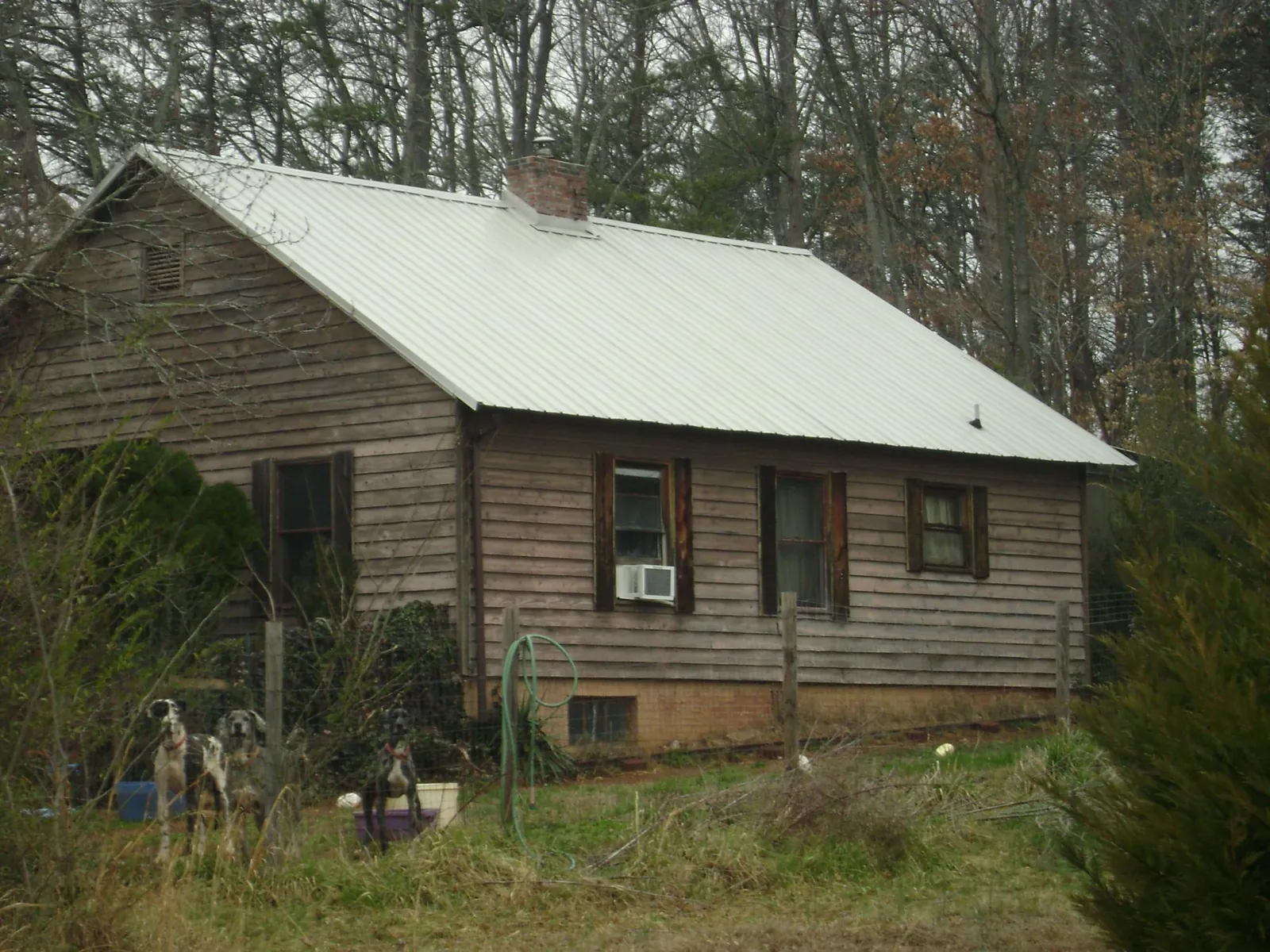 White metal roof on an old wood sided farmhouse, from a Asphalt Shingle Roof Repair job in Carman